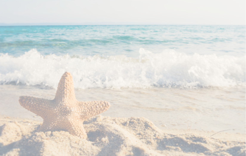 Beach_Starfish.png