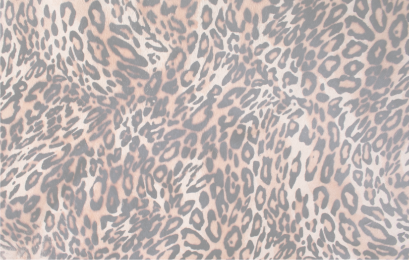 Leopard_Print.png