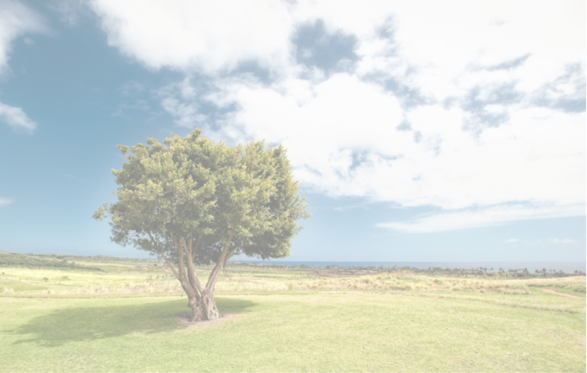 Lone_Tree.png