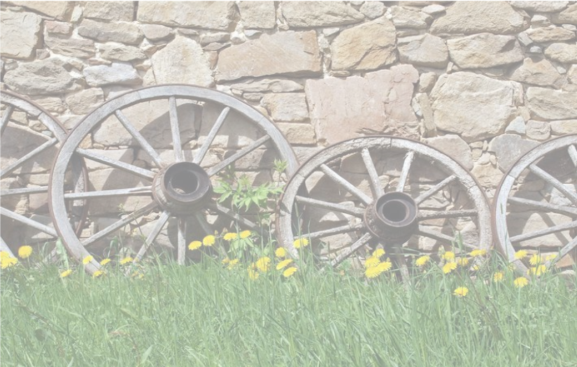 Wagon_Wheels.png